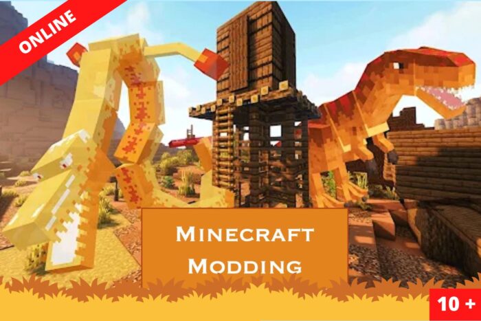 Minecraft Modding with Blockbench - Summer Term 2025