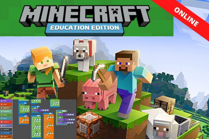 Minecraft Coding - Summer Term 2025